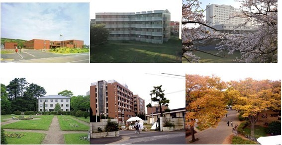 维酱说留学 Weoffer留学出国工作移民