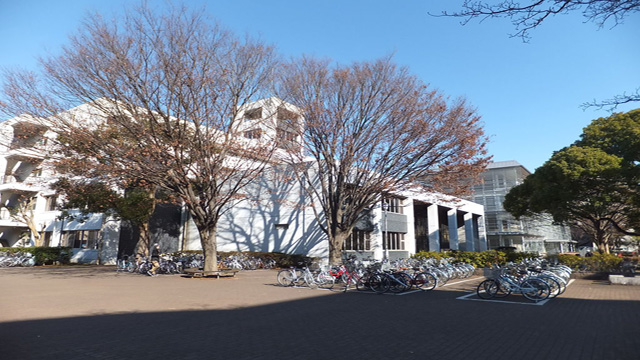 维酱说留学 Weoffer留学出国工作移民